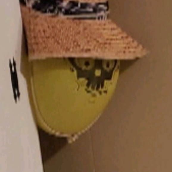 Meet your Posher, Grego - Picture 1 of 1